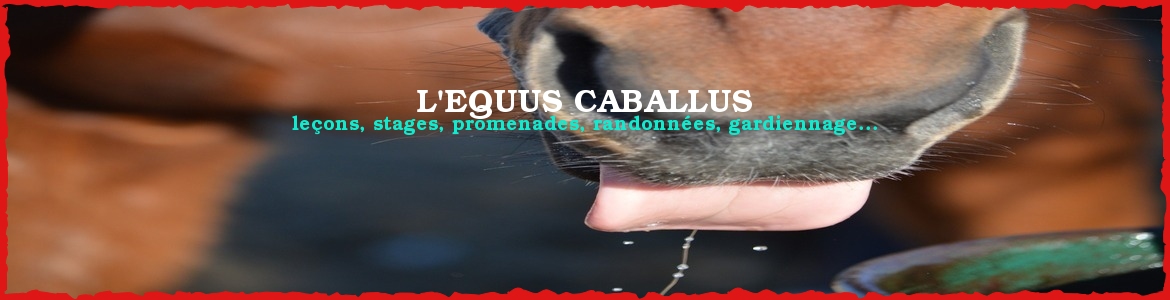 L'EQUUS CABALLUS